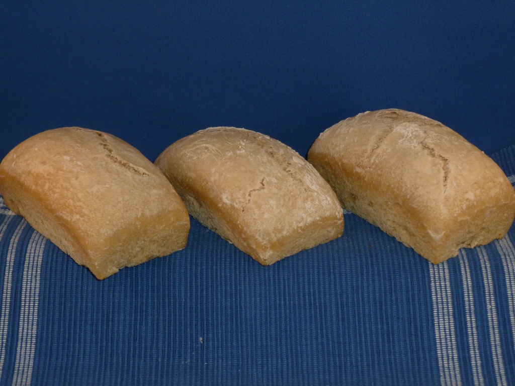 Overnight White Sourdough Bread in the solar oven